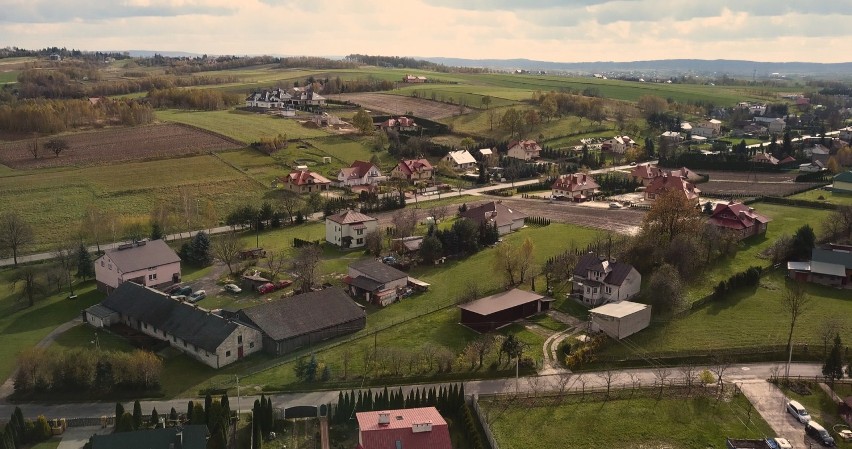 Czaszka mamuta

Do niecodziennego odkrycia doszło w Bziance....