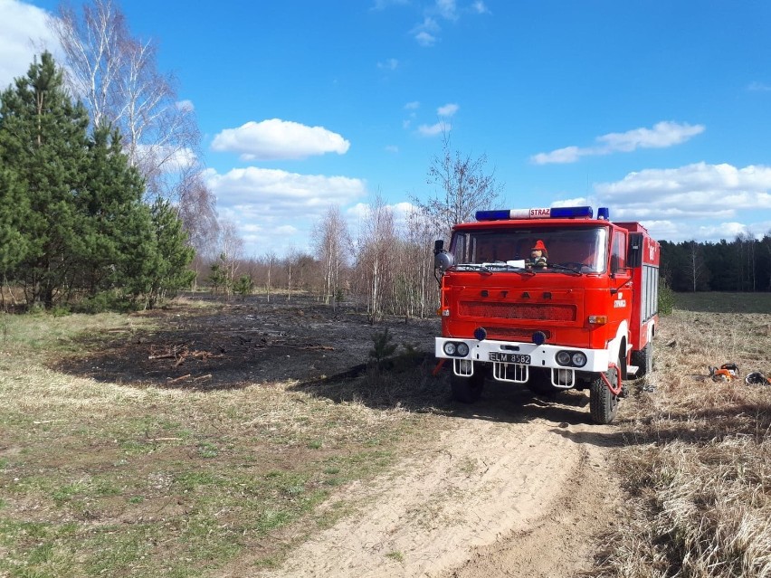Pożary traw w powiecie kwidzyńskim. W ciągu dwóch miesięcy strażacy interweniowali ponad 60 razy [ZDJĘCIA]