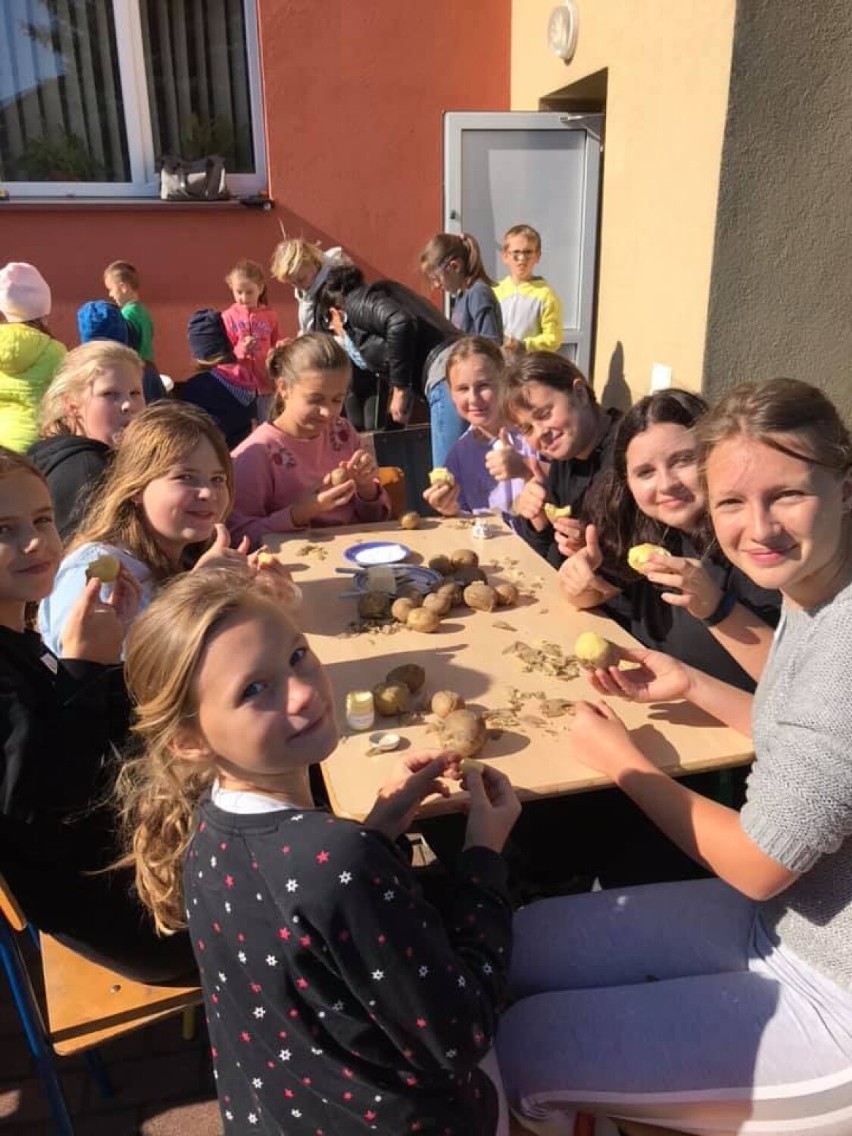 Święto Pieczonego Ziemniaka w Szkole Podstawowej w Sieńcu