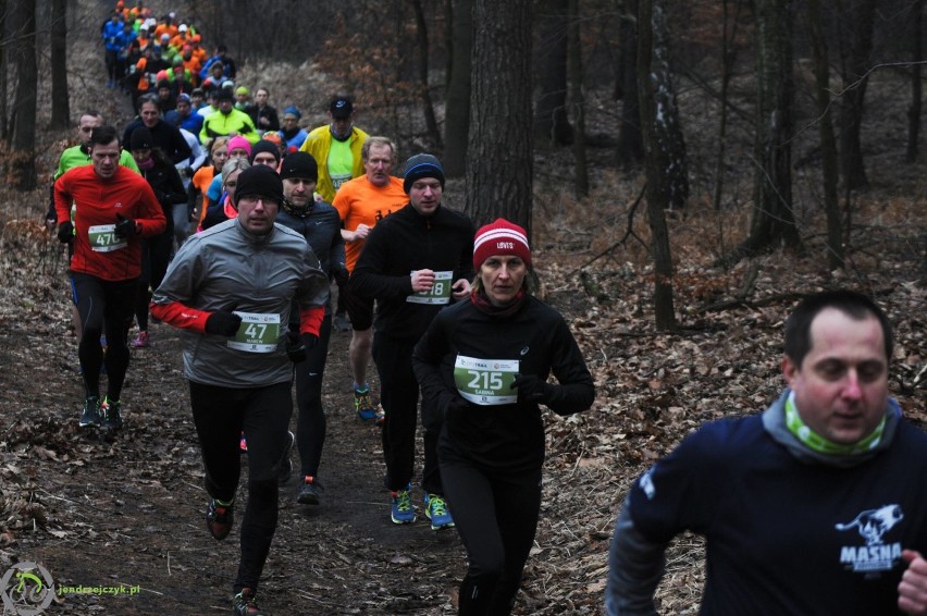 City Trail w Katowicach - zdjęcia z finałowego biegu [28 luty 2016]