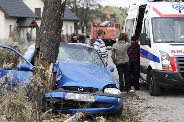 Oleśnica: Uderzyli w drzewo (ZDJĘCIA)