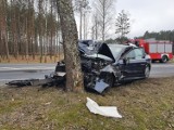 Zjechał z drogi i uderzył w drzewo. Wypadek na berlince w Gutowcu