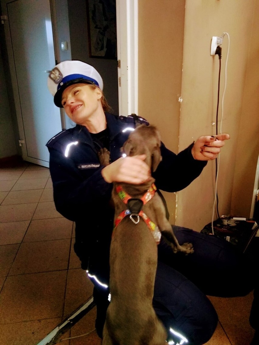 Prezenty od policjantek z Włocławka dla zwierząt ze schroniska [zdjęcia]