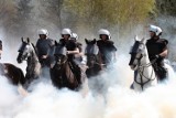 Policja Poznań: Nasi konni znów przejechali test bez przeszkód. Zobacz ŚWIETNE ZDJĘCIA!