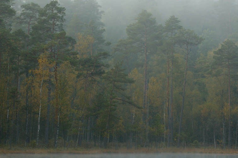 Majówka 2013: Mazurski Park Krajobrazowy [ZDJĘCIA]