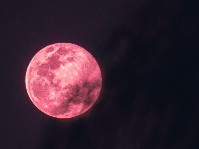 Różowy Księżyc w kwietniu na niebie - ta niezwykła wiosenna pełnia to Pełnia Różowego Księżyca.