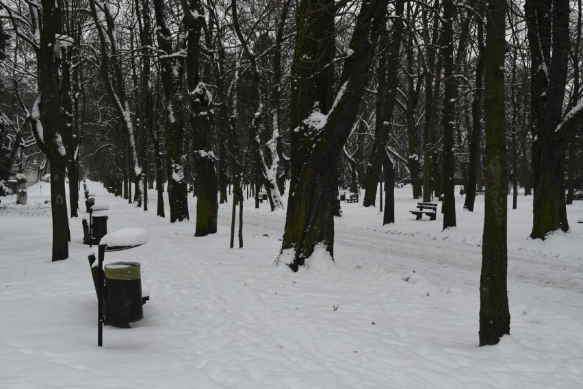 Wygląda na to, że zima zagościła w Świętokrzyskiem na dobre....