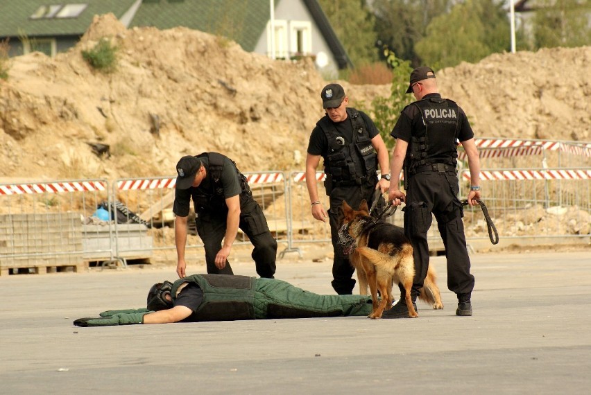 Pokaz tresury policyjnych psów służbowych na kieleckich targach [ZDJĘCIA]