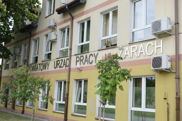 Praca w Żarach