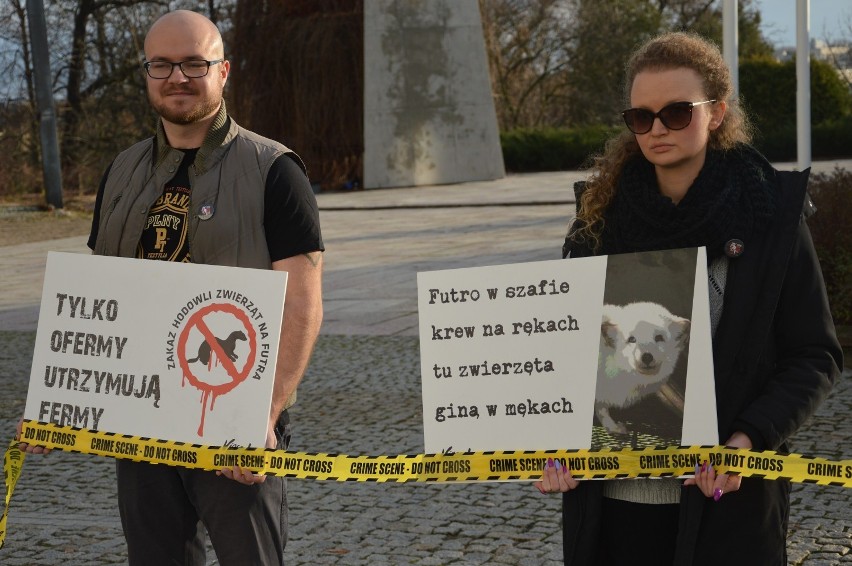 Viva w Piotrkowie przeciw hodowli zwierząt na futra