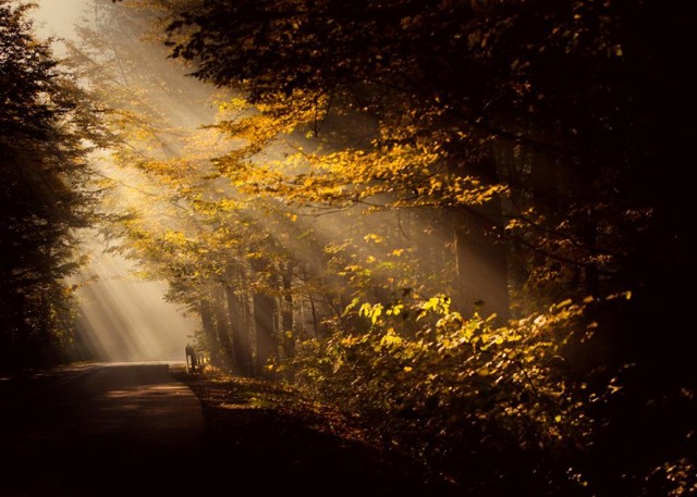 Wystawa w Jastrzębiu: fotografie Natalii Chmielowiec