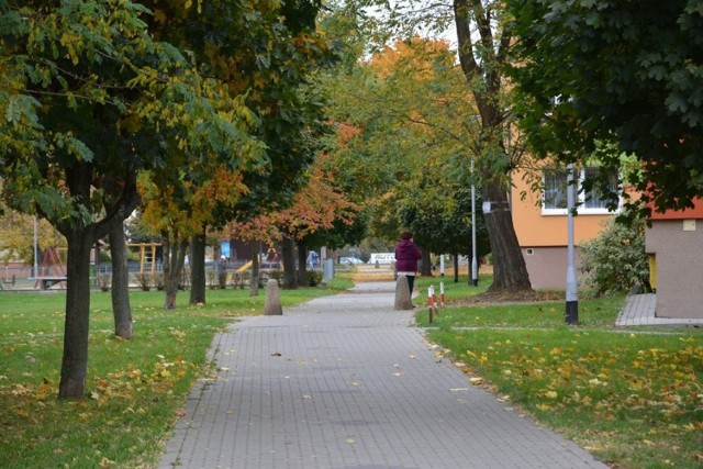 Nacieszmy się jesienią, bo jest równie piękna jak inne pory roku.