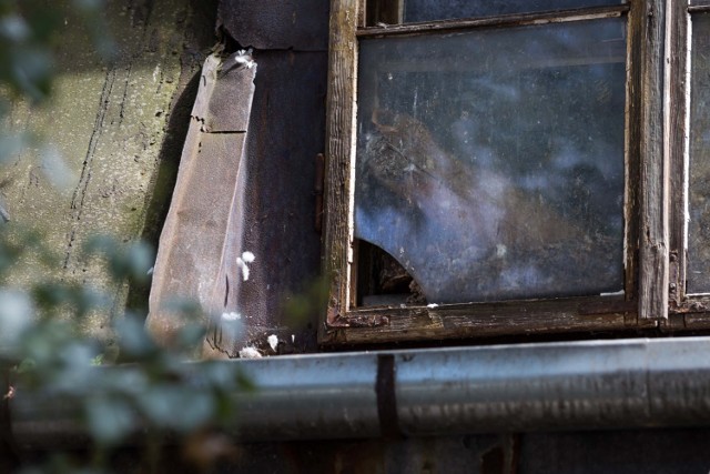 Policja schwytała sprawców, którzy zbili okno w mieszkaniu w Sępólnie Krajeńskim