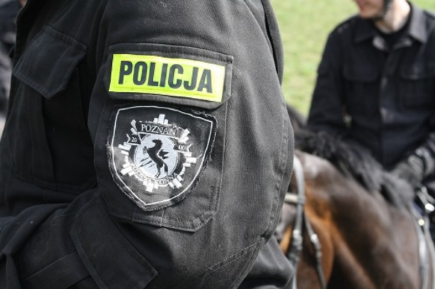 Policja na koniach na obozie kondycyjno - szkoleniowym w...