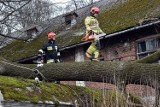 Zerwane częściowo dachy, powalone drzewa - silne podmuchy wiatru dają się strażakom coraz bardziej we znaki