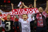 Mecz Polska - Białoruś: Zobaczcie jak Polacy dopingowali swoją drużynę [ZDJĘCIA]