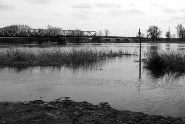 Mieszkańcy miejscowości położonych nad rzekami z niepokojem obserwują stan wód. Odra dość szeroka. Fot. Jola Paczkowska