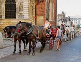 Kraków: dorożkarze i konie schowani w cieniu