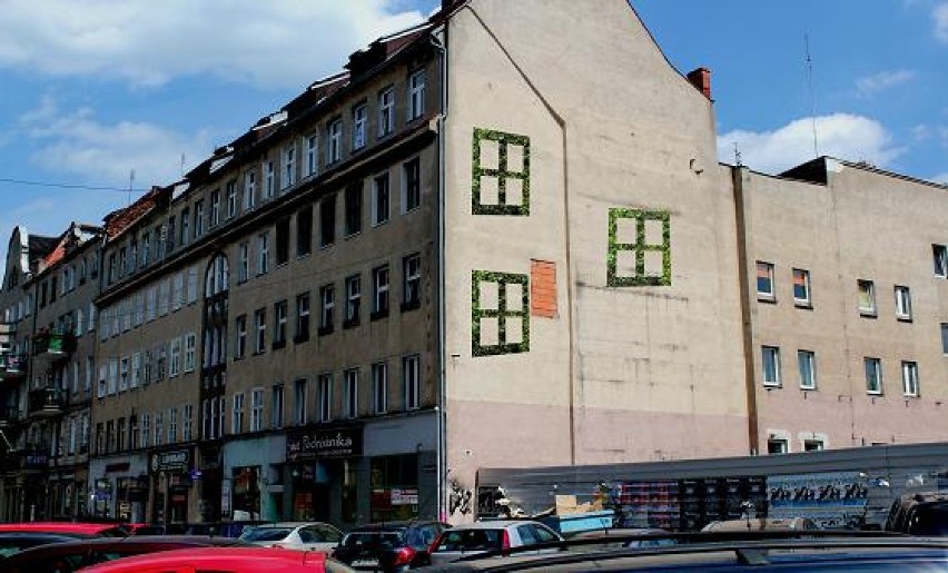 Projekt żywego muralu we Wrocławiu - okna
