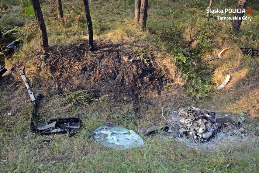 Peugeot wypadł z drogi, 51-latek zginął na miejscu