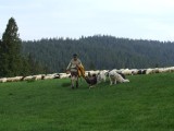 Bacówka Kazimierza Furczonia w Łapszach Wyżnych