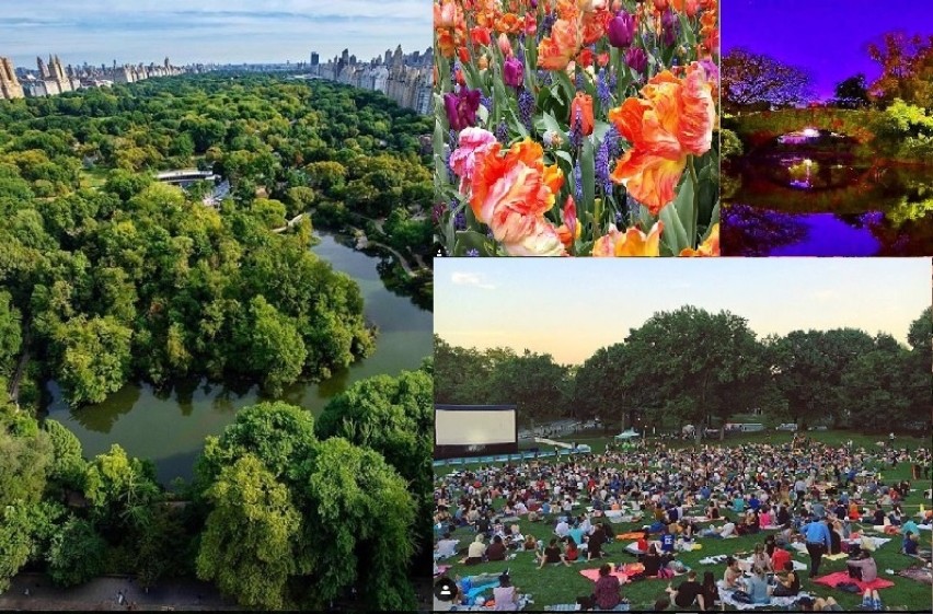 Kraków. Taki Central Park mieszkańcy chcą w Czyżynach. Zobacz, jak wygląda wzorzec z Manhattanu [ZDJĘCIA]