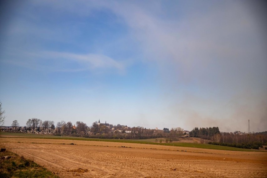 Gaszenie pożaru w Biebrzańskim Parku Narodowym trwało...