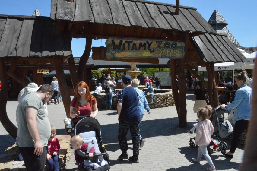 Dzień Dziecka w Zoo Safari w Borysewie 2020
