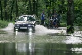 Stany alarmowe na rzekach pod Wrocławiem wciąż się utrzymują  (ZDJĘCIA, FILM)