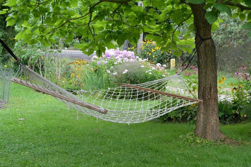 Krakowski chillout na trawie. Oto najlepsze miejsce na piknikowanie