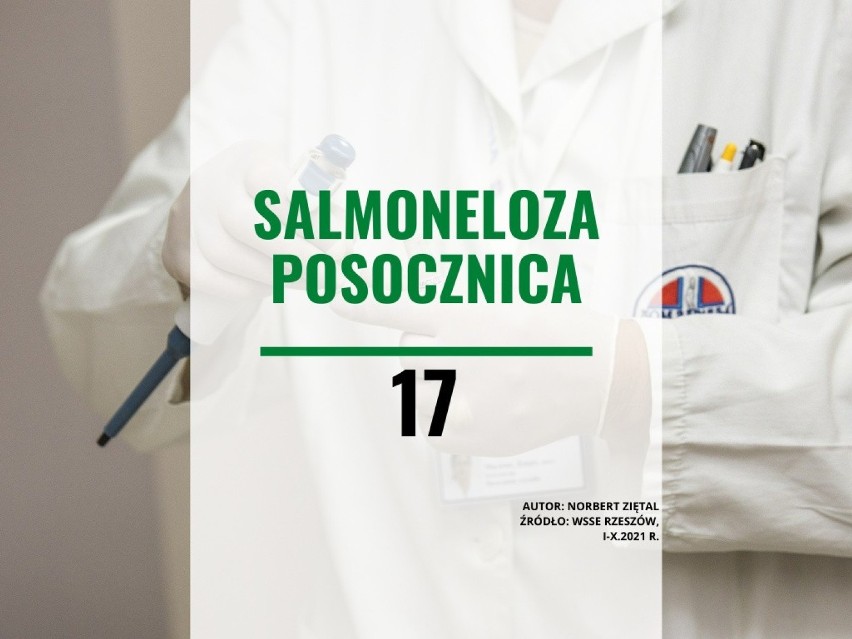 Salmoneloza posocznica: 17 przypadków w tym roku....