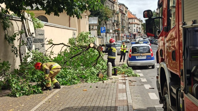 Kalisz: Duży konar drzewa runął na chodnik przy ulicy Śródmiejskiej