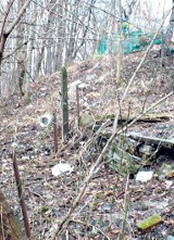 Patrol ekologiczny: Śmieci w Lasku Miejskim