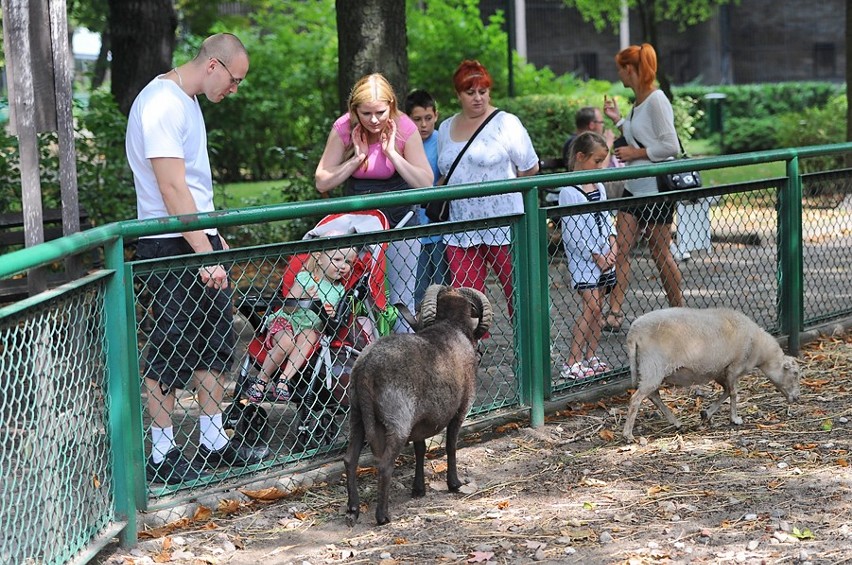 Stare Zoo Poznań