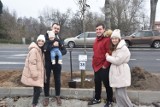 101 nowych drzew w Wolsztynie, to efekt akcji "Jedno dziecko - jedno drzewo"