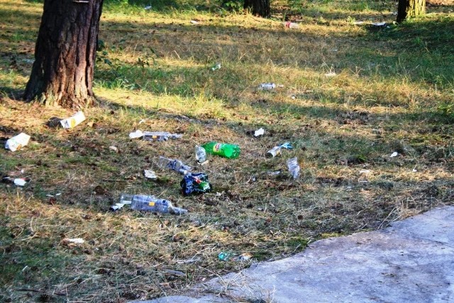 Urzędnicy z Chodla szukają organizatora imprezy Beach Party, która w miniony weekend odbyła się nad chodelskim zalewem.