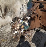 Legniczanka alarmuje: "Brzydzę się wyrzucać śmieci!". Śmierdzący problem w samym centrum Legnicy