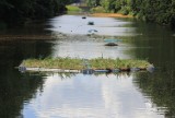 Na Kanale Piaseczyńskim pojawiła się pływająca wyspa. Ratuje zwierzęta i oczyszcza wodę