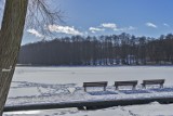 Cieszmy sie zimą póki jeszcze trwa. Jezioro Miejskie skute lodem, otulone śniegiem i oświetlone słońcem