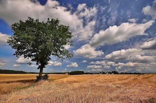 Dąbrówka Wielka także ma swoje urokliwe miejsca. Cóż to za...