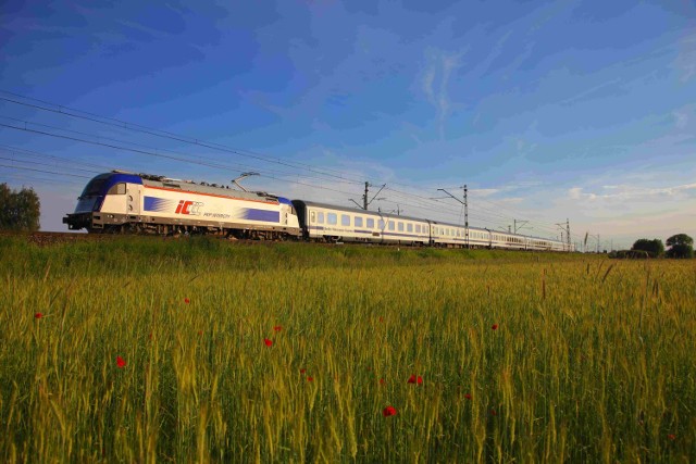 PKP Intercity jest zadowolone z frekwencji, jaka panuje w ...