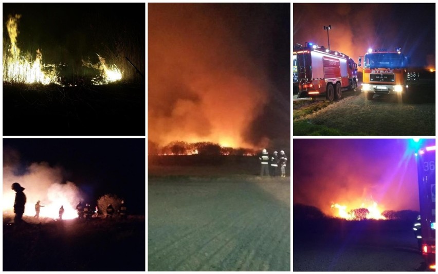 Pożar w powiecie radziejowskim. 9 zastępów straży pożarnej w akcji [zdjęcia]