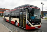 Darmowe autobusy w Lesznie, ale nie dla wszystkich seniorów. Trzeba spełnić jeden istotny warunek