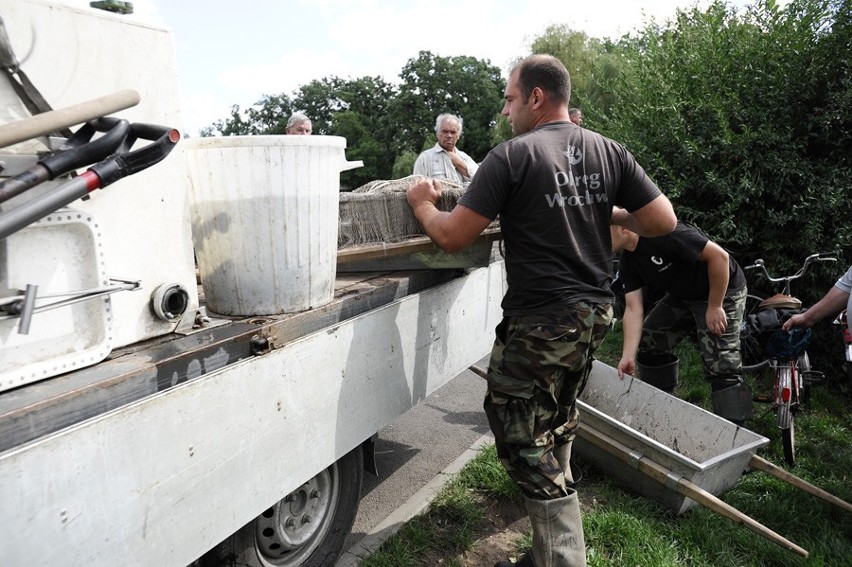 Oleśnica: Gigantyczne ryby w stawie (ZDJĘCIA)