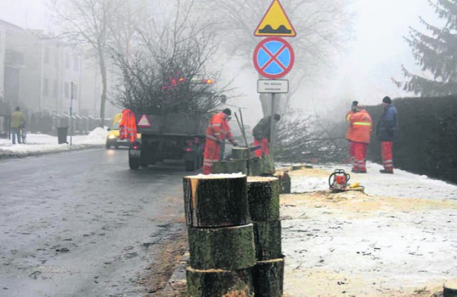 Wycinka drzew przy ul. Raszkowskiej trwa już drugi tydzień