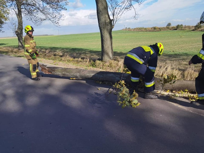 Straż Pożarna w Legnicy podsumowuje interwencje w powiecie legnickim podczas wichury 21-22 października