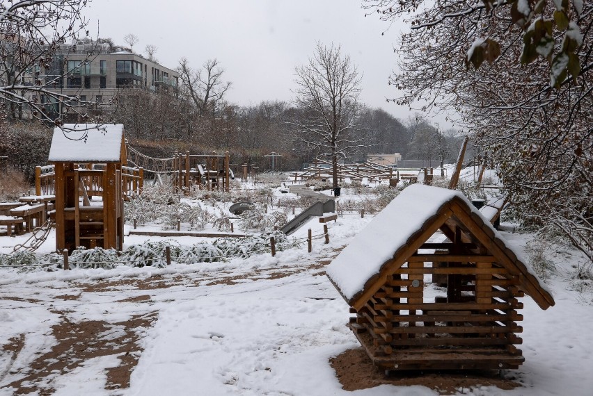 Łazienki Królewskie zimą. Najpiękniejszy ogród Warszawy pod białym puchem. Miejsce do spacerów i odpoczynku