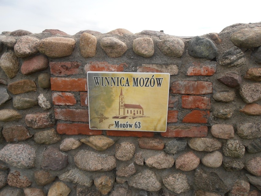 Winobranie 2015: Lubuskie winnice...Winnica Mozów w Mozowie [zdjęcia]