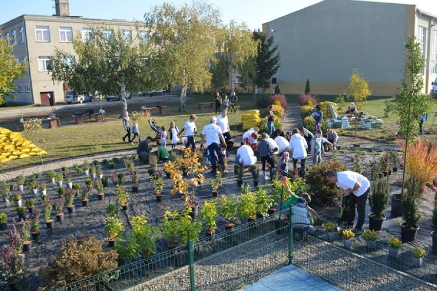SSP w Chwalibogowie: ogród po modernizacji. Pomagało wiele osób 