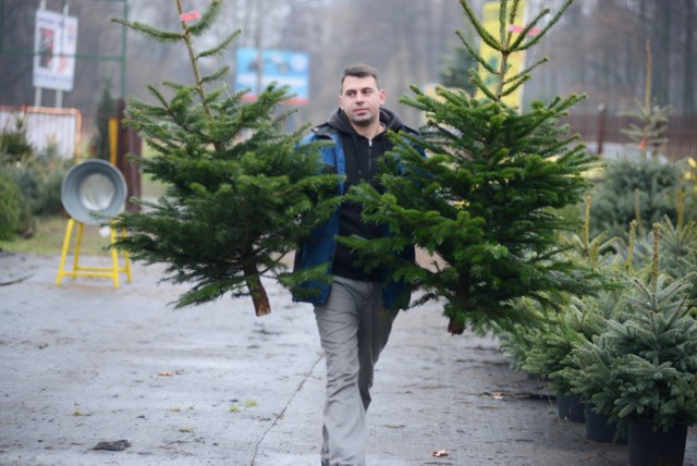 Choinki, Warszawa. Możesz dostać świąteczne drzewko za elektrośmieci